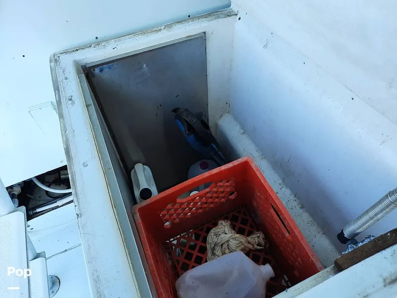 Slide: The Image of Bertram 42 1976 - 9700514