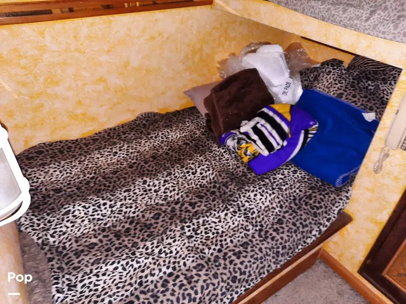 Slide: The Image of Bertram 42 1976 - 9700661