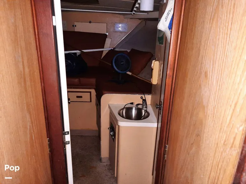 Slide: The Image of Bertram 42 1976 - 9700691