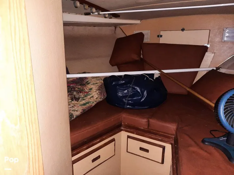 Slide: The Image of Bertram 42 1976 - 9700693