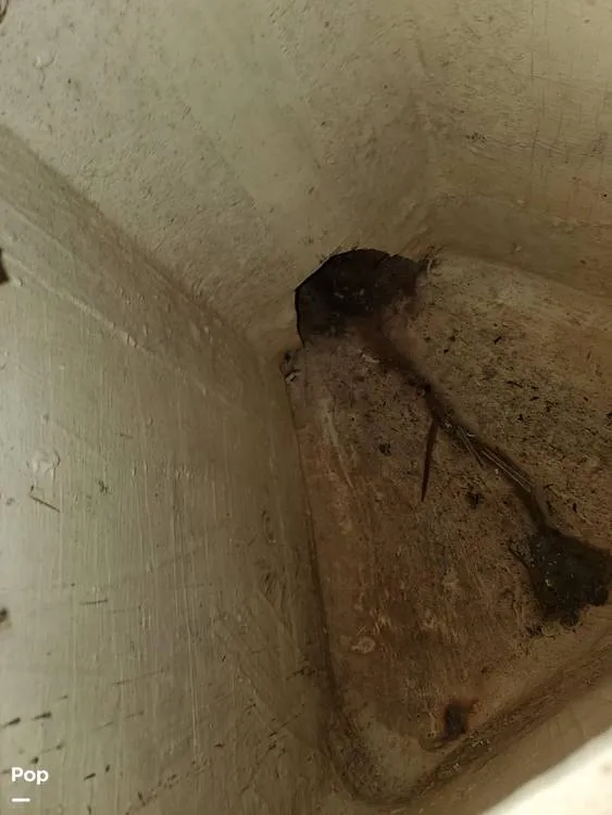 Slide: The Image of Hughes 40 1978 - 12958436