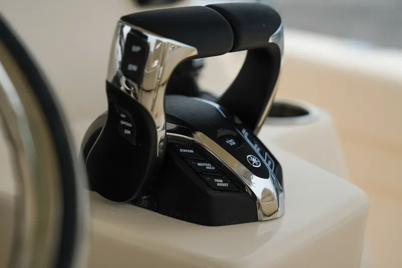 Slide: The Image of Grady-White Canyon 336 2025 - 24