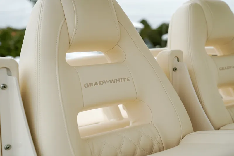 Slide: The Image of Grady-White Canyon 336 2025 - 28