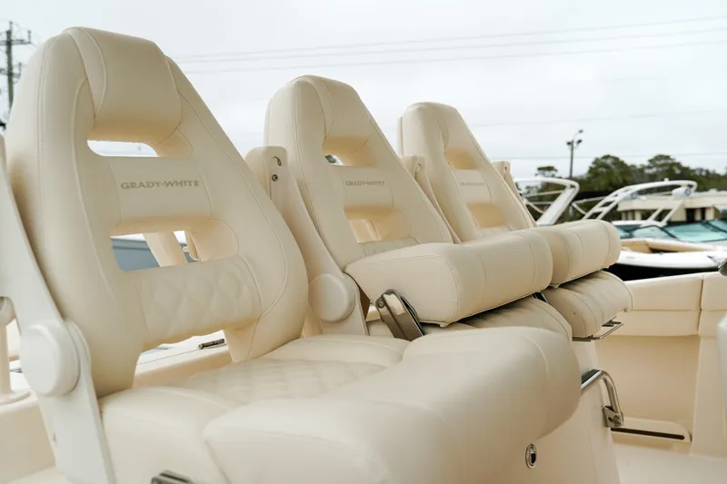 Slide: The Image of Grady-White Canyon 336 2025 - 29