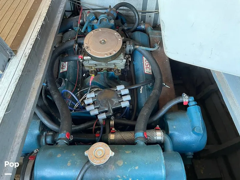 Slide: The Image of Chris-Craft 34 Constellation 1965 - 9925559