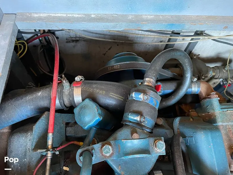 Slide: The Image of Chris-Craft 34 Constellation 1965 - 9925561