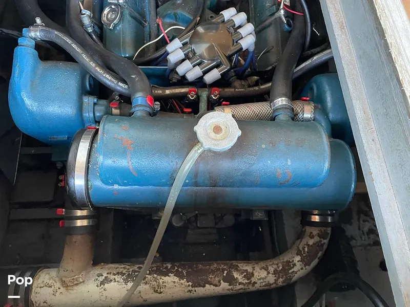 Slide: The Image of Chris-Craft 34 Constellation 1965 - 9925570