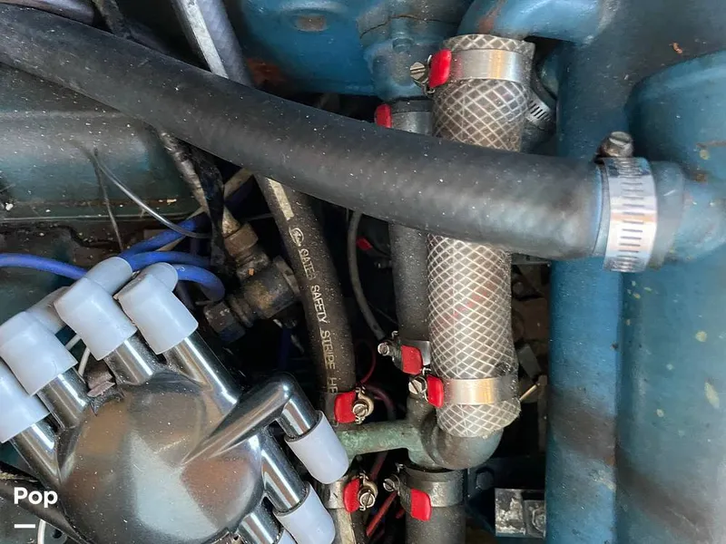 Slide: The Image of Chris-Craft 34 Constellation 1965 - 9925574