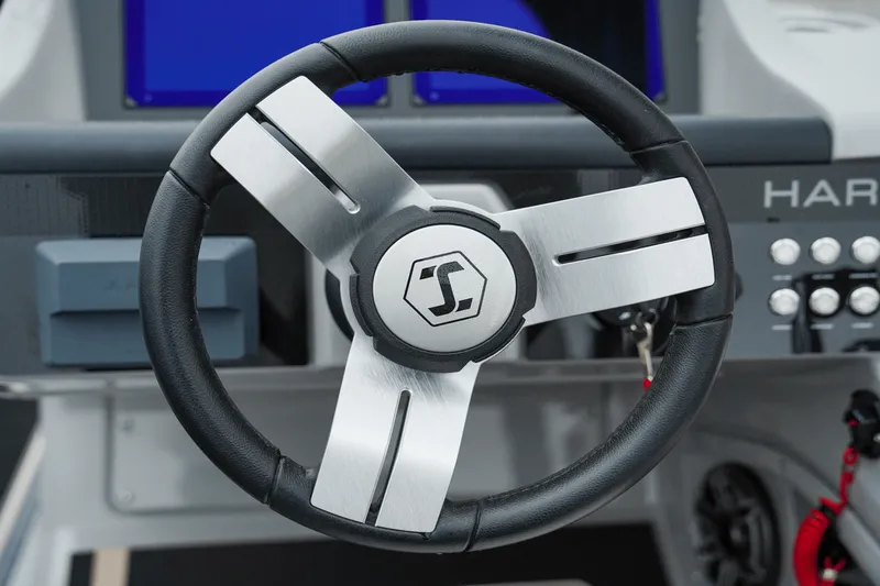 Slide: The Image of Harris 230 Solstice 2025 - 18