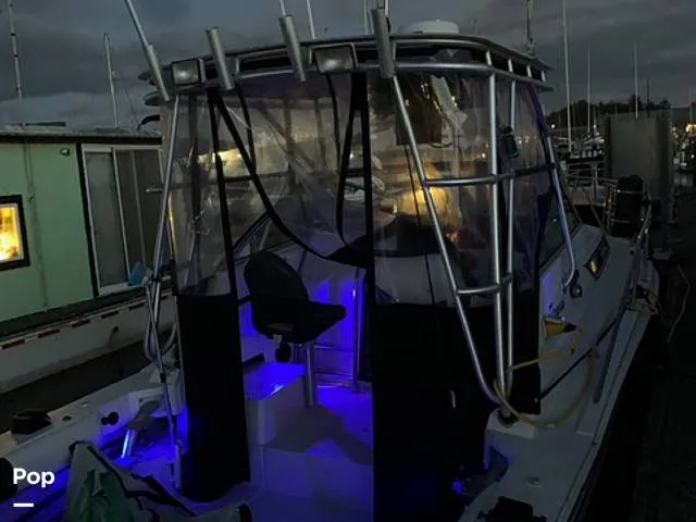 Slide: The Image of Wellcraft Coastal 2600 1992 - 9569947