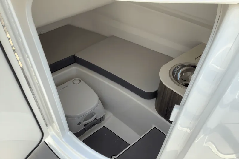 Slide: The Image of Sea Ray SDX 250 Surf 2025 - 25