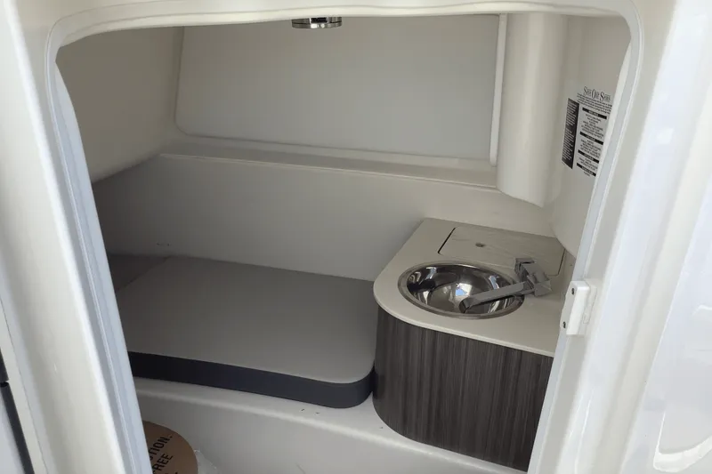 Slide: The Image of Sea Ray SDX 270 Surf 2025 - 22