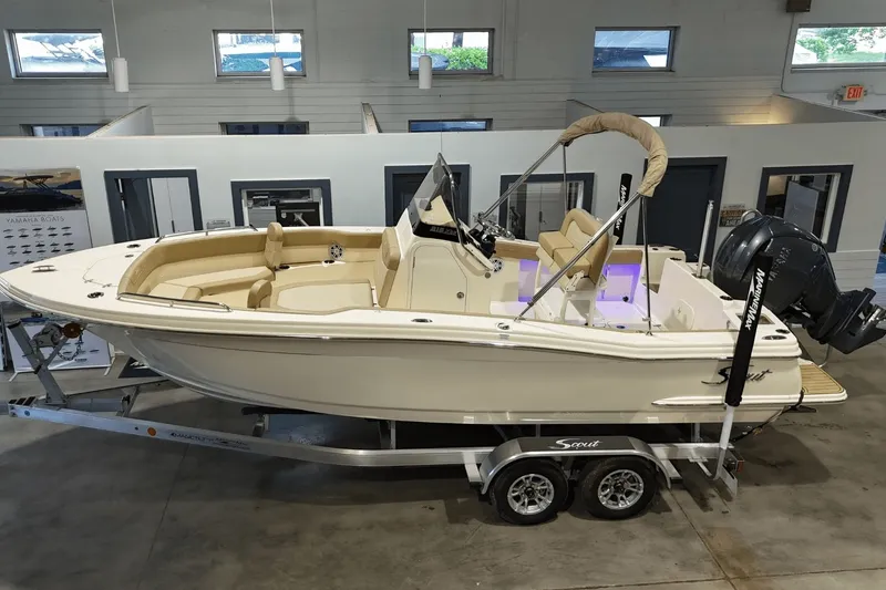 The Image of Scout 215 XSF 2024 - 0