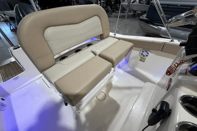 Slide: The Image of Scout 215 XSF 2024 - 9