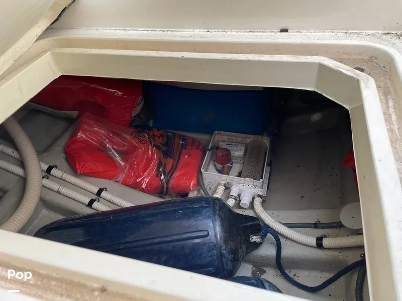 Slide: The Image of Sunseeker Hawk 31 1995 - 9843876