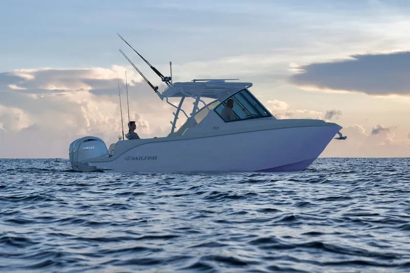 The Image of Sailfish 256 DC 2027 - 0
