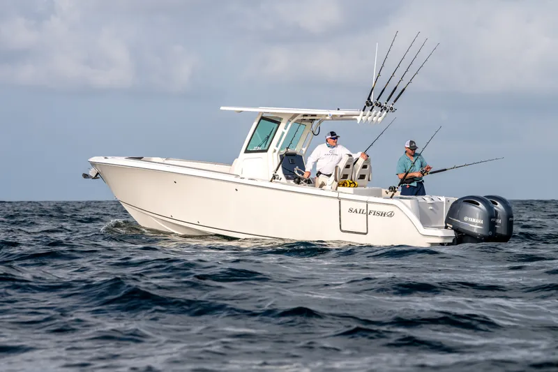 Slide: The Image of Sailfish 272 CC 2027 - 2