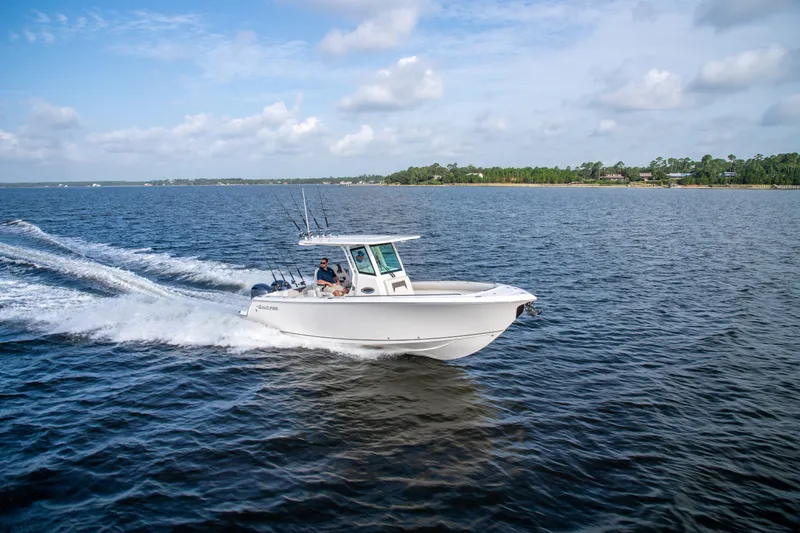 The Image of Sailfish 272 CC 2027 - 0