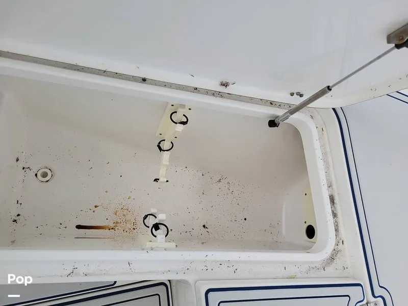 Slide: The Image of Sea Hunt 24 BR 2013 - 9851721