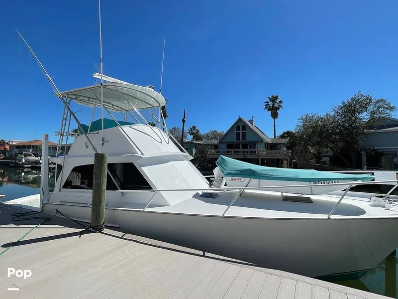 Slide: The Image of Striker 44 Sportfisherman 1974 - 10078139