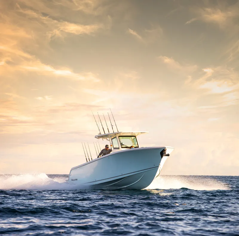 The Image of Sailfish 312 CC 2027 - 0