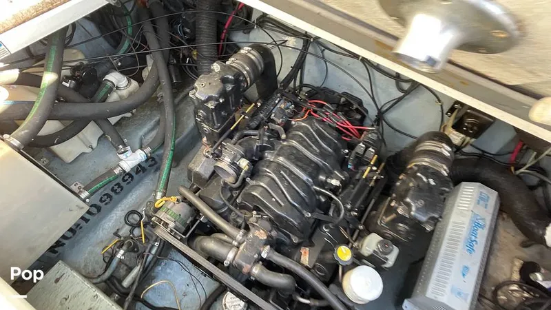 Slide: The Image of Sea Ray 270 Sundancer 1998 - 10023869