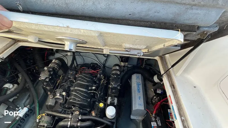 Slide: The Image of Sea Ray 270 Sundancer 1998 - 10023870