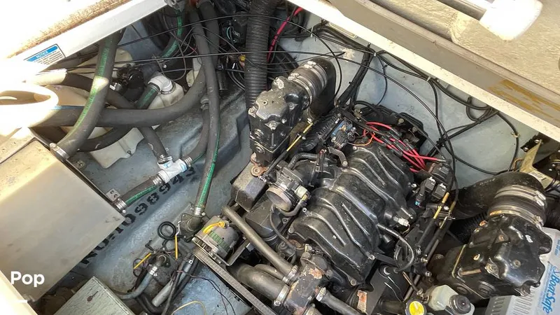 Slide: The Image of Sea Ray 270 Sundancer 1998 - 10023898