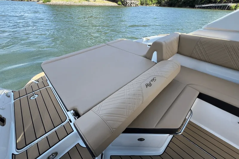 Slide: The Image of Sea Ray 250 SDX 2025 - 10