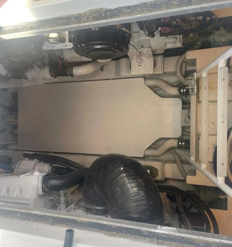 Slide: The Image of Custom Carolina DeSanti 2005 - 5774905