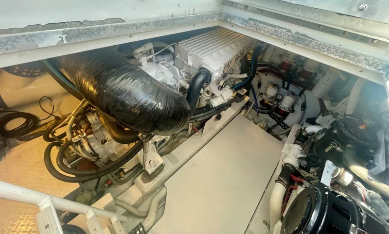 Slide: The Image of Custom Carolina DeSanti 2005 - 5774907