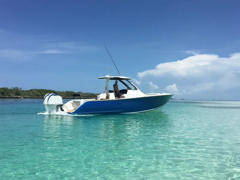 Slide: The Image of Stern - 1814304