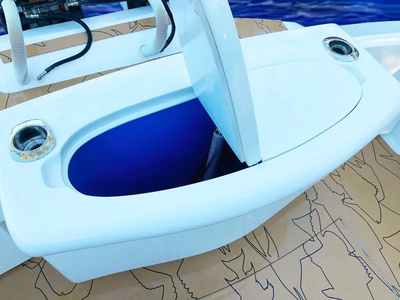 Slide: The Image of Transom Live Well - 1817075