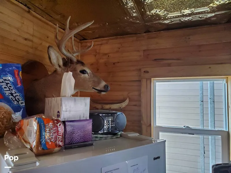 Slide: The Image of Custom 50-Foot Houseboat 2019 - 10100839