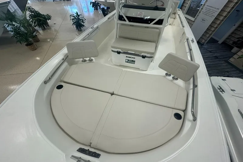 Slide: The Image of Boston Whaler 210 Montauk 2026 - 18