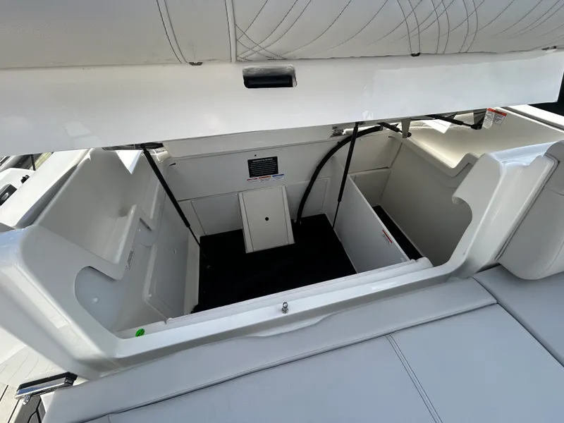 Slide: The Image of Sea Ray SDX 290 Outboard 2026 - 23