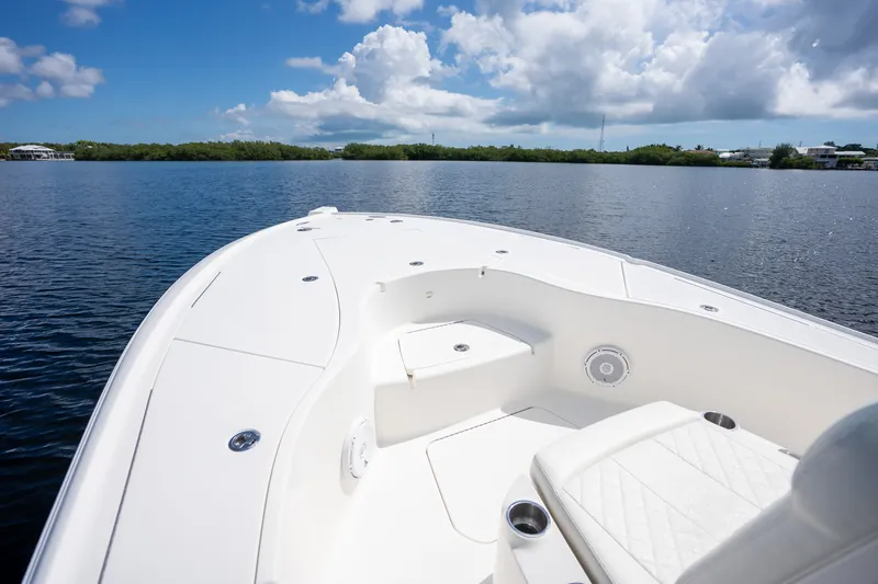 Slide: The Image of SeaVee 270Z 2019 - 17