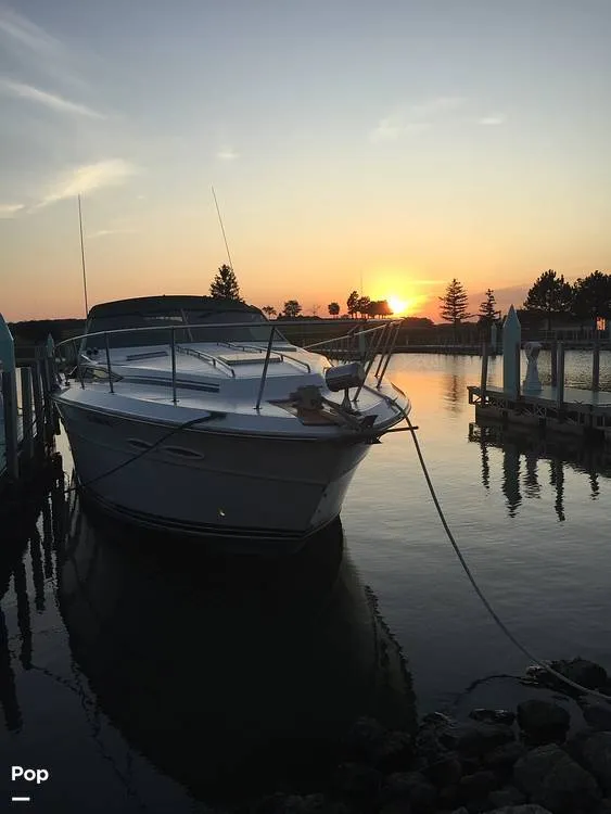 Slide: The Image of Sea Ray 390 Express Cruiser 1987 - 12622744