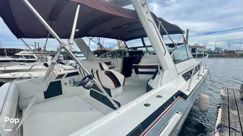 Slide: The Image of Formula 35PC 1989 - 10999299