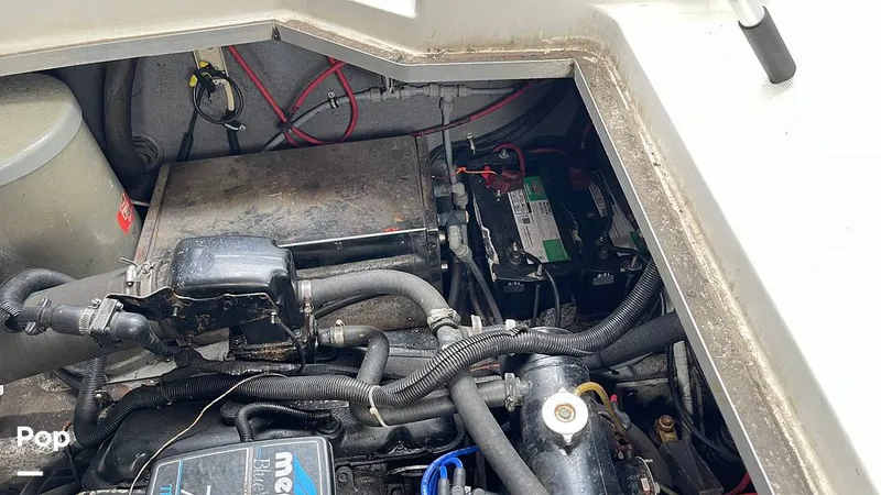 Slide: The Image of Formula 35PC 1989 - 10985298