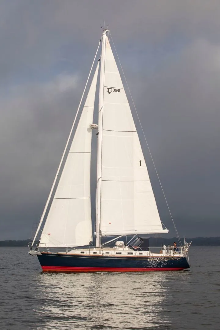 Slide: The Image of Tartan 395 2024 - 1250999