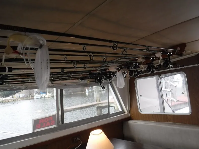 Slide: The Image of Bertram 33 1980 - 1360477