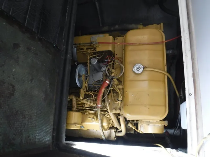 Slide: The Image of Bertram 33 1980 - 1360478