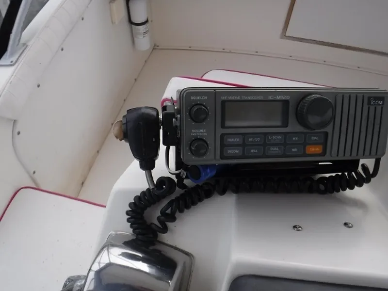 Slide: The Image of Bertram 33 1980 - 1360480