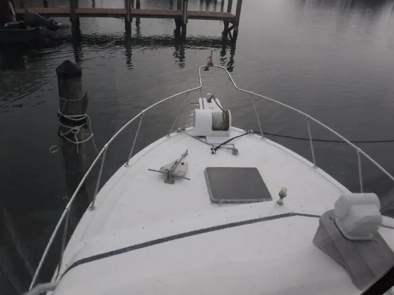 Slide: The Image of Bertram 33 1980 - 1360483