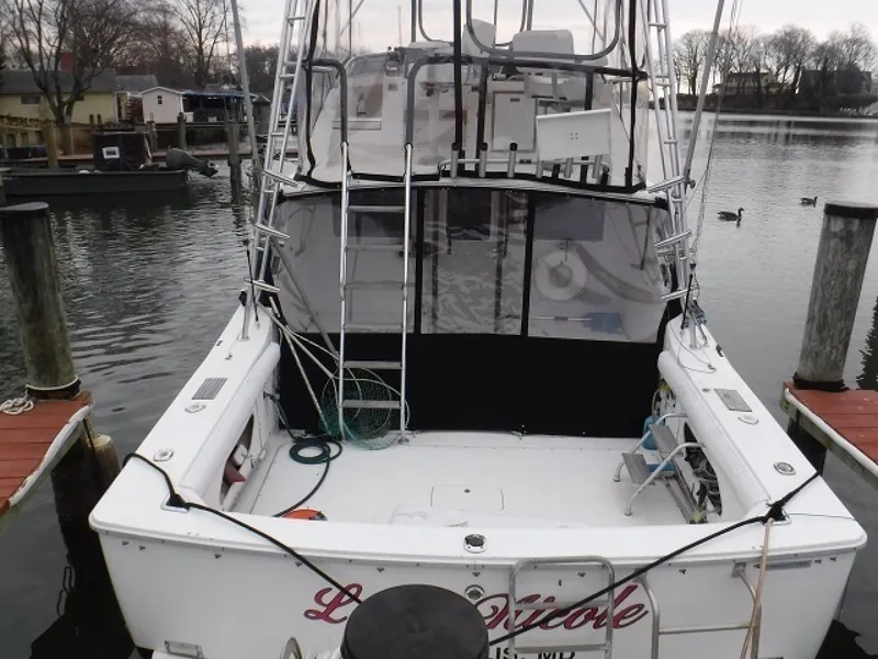 Slide: The Image of Bertram 33 1980 - 1360468