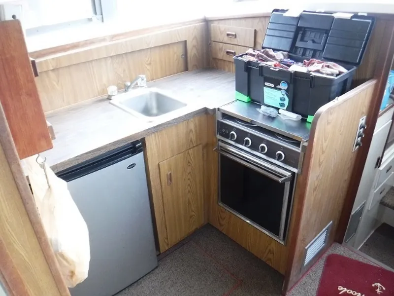 Slide: The Image of Bertram 33 1980 - 1360471