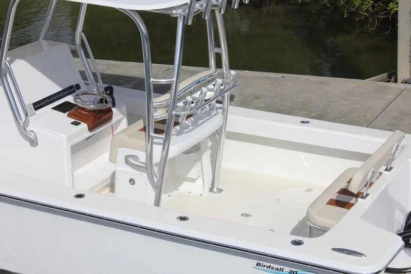 Slide: The Image of Birdsall Birdsall 30 2026 - 1399899