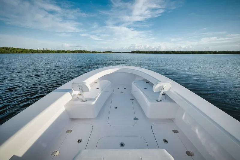 Slide: The Image of Birdsall Birdsall 30 2026 - 4039596