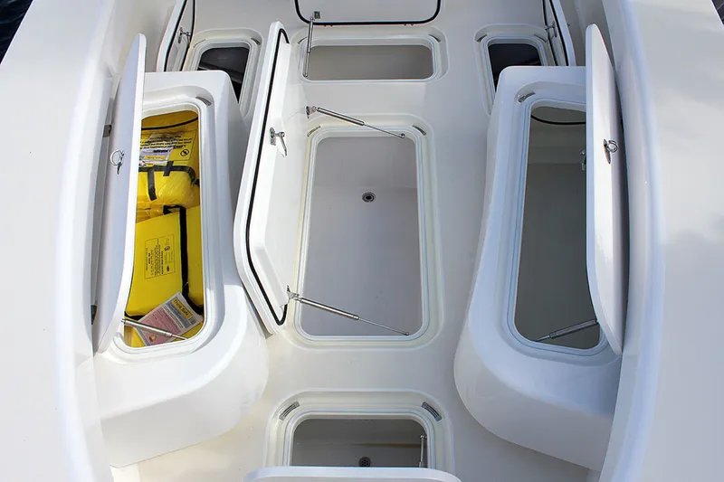 Slide: The Image of Birdsall Birdsall 30 2026 - 1399896